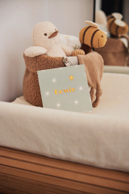 Spring garden duck toy