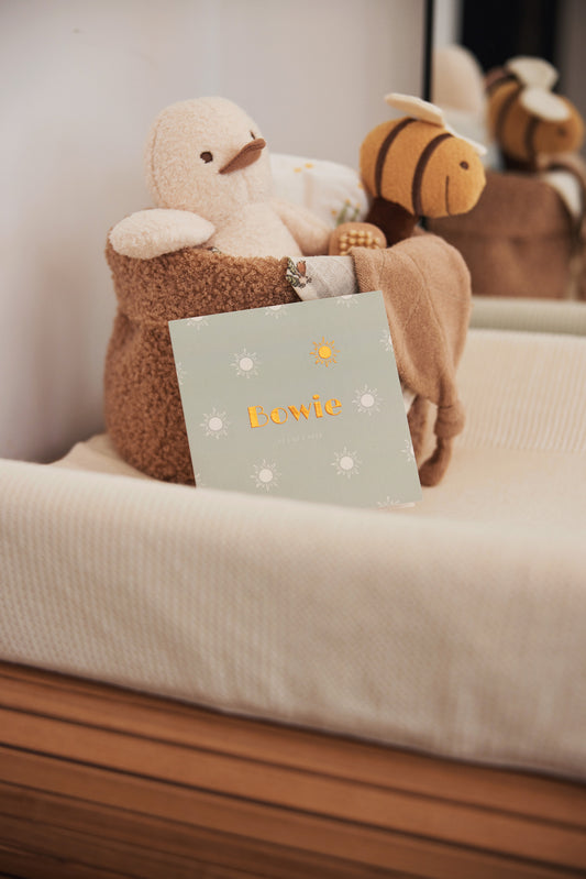 Spring garden duck toy